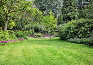 Optimiser l'expérience du jardin à Conde-sur-Seulles