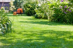 travaux jardin et paysage Conde-sur-Seulles